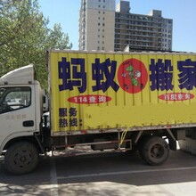 專業、高效、省心——邯鄲市邯山區螞蟻搬家渚河路服務部，您的理想搬家伙伴